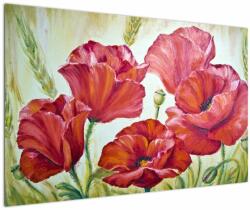 Mivali Tablou - Mac - flori, dintr-o bucată 120x80 cm (V023305V12080)