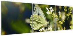 Mivali Tablou cu fluture, din trei bucăți 150x50 cm (V021360V15050)