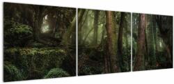 Mivali Tablou - Pădurea enigmatică, din trei bucăți 150x50 cm (V021680V15050)