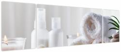 Mivali Tablou - Spa, din trei bucăți 170x50 cm (V023947V17050)