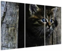 Mivali Tablou cu pisicuța, din trei bucăți 120x80 cm (V020637V120803PCS)