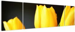 Mivali Tablou cu lalele, din trei bucăți 170x50 cm (V020187V17050)