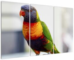 Mivali Tablou cu papagal, din trei bucăți 120x80 cm (V020466V120803PCS)