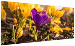 Mivali Tablou cu floare violetă, dintr-o bucată 200x100 cm (V020341V200100)