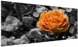 Mivali Tablou cu floare, dintr-o bucată 250x125 cm (V021950V250125)