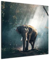 Mivali Tablou cu elefant în djunglă, dintr-o bucată 70x70 cm (V020490V7070)