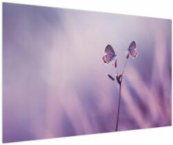 Mivali Tablou - Fluturi mov, dintr-o bucată 120x80 cm (V023913V12080)
