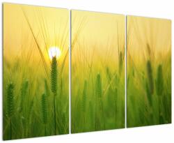 Mivali Tablou - Câmp cu cereale, din trei bucăți 120x80 cm (V022545V120803PCS)