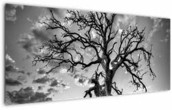 Mivali Tablou - Copacul, alb-negru, dintr-o bucată 120x50 cm (V023559V12050)