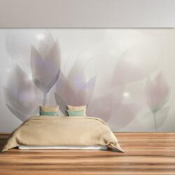 Mivali Fototapet - Crocus, vlies, 343x238 cm (T100399TQ7)