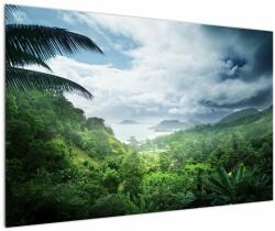 Mivali Tablou -Jungla din Seychelles, dintr-o bucată 120x80 cm (V023373V12080)