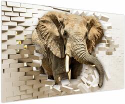 Mivali Tablou - Elefant spârgând peretele, dintr-o bucată 150x100 cm (V022794V150100)
