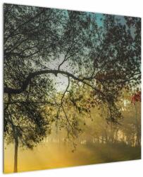 Mivali Tablou cu răsărit de soare, dintr-o bucată 70x70 cm (V020270V7070)