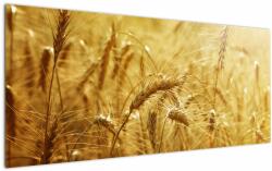 Mivali Tablou - Spice de cereale, dintr-o bucată 120x50 cm (V022459V12050)