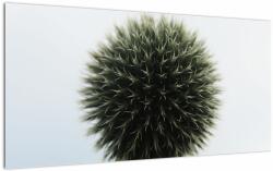 Mivali Tablou pe sticlă - Sfere de flori, dintr-o bucată 100x50 cm pe sticlă (V022586V10050GD)