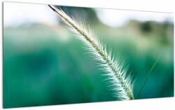 Mivali Tablou pe sticlă cu fir de iarbă, dintr-o bucată 100x50 cm pe sticlă (V020962V10050GD)