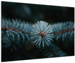 Mivali Tablou -Crenguțe ale unui conifer, dintr-o bucată 90x60 cm (V022700V9060)