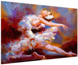 Mivali Tablou - Balerină, pictură, dintr-o bucată 120x80 cm (V023873V12080)