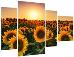 Mivali Tablou - Floarea soarelui (cu ceas), din patru bucăți 110x75 cm cu ceas (V022507V11075C)