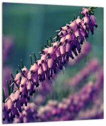 Mivali Tablou pe sticlă cu lavanda, dintr-o bucată 30x30 cm pe sticlă (V020539V3030GD)