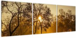 Mivali Tablou - Răsărit de soare, din trei bucăți 120x40 cm (V022432V12040)