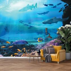 Mivali Fototapet - În ocean, vlies, 245x170 cm (T100527TQ5)