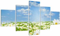 Mivali Tablou cu luncă înflorită cu margarete, din cinci bucăți 125x70 cm (V021906V12570)