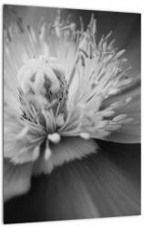 Mivali Tablou păpădii desflorite, dintr-o bucată 30x40 cm (V022273V3040)
