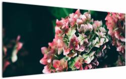 Mivali Tablou - Hortensie, dintr-o bucată 120x50 cm (V022573V12050)