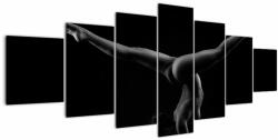Mivali Tablou - Gimnasta nud în întuneric, din șapte bucăți 210x100 cm (V023080V210100)