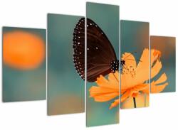 Mivali Tablou - fluture pe o floare portocalie, din cinci bucăți 150x105 cm (V020577V150105)