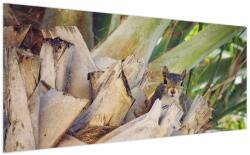 Mivali Tablou cu veverița în copaci, dintr-o bucată 200x100 cm (V021177V200100)