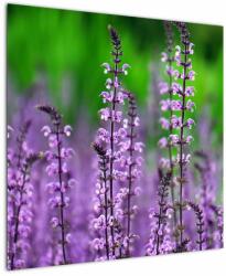 Mivali Tablou cu flori de luncă violete, dintr-o bucată 70x70 cm (V020193V7070)