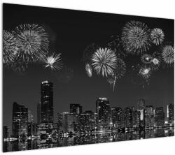 Mivali Tablou - Artificii in Miami, dintr-o bucată 100x70 cm (V023271V10070)