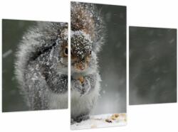 Mivali Tablou - Veveriță iarna, din trei bucăți 90x60 cm (V023818V90603PCS)