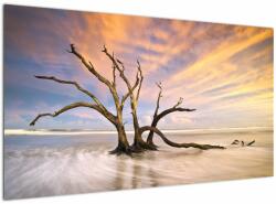 Mivali Tablou - Copacul în ocean, dintr-o bucată 120x70 cm (V023279V12070)