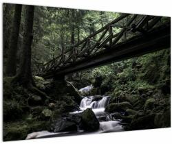 Mivali Tablou din pădurea neagră, dintr-o bucată 90x60 cm (V021686V9060)