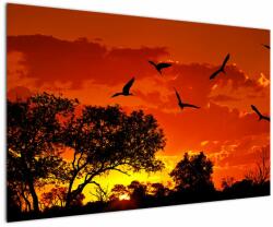 Mivali Tablou cu păsări în apus de soare, dintr-o bucată 120x80 cm (V021911V12080)