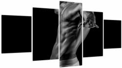 Mivali Tablou - Artă masculină, din cinci bucăți 150x80 cm (V023837V150805PCS)