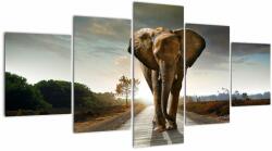 Mivali Tablou cu elefant, din cinci bucăți 150x80 cm (V022219V150805PCS)