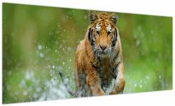 Mivali Tablou - Tigru care aleargă, dintr-o bucată 100x40 cm (V023886V10040)