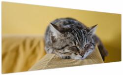 Mivali Tablou cu pisica pe fotoliu, dintr-o bucată 250x125 cm (V021340V250125)