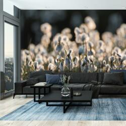 Mivali Fototapet - Floare de luncă, vlies, 392x272 cm (T101017TQ8)