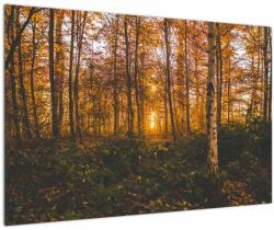 Mivali Tablou - Pădurea toamna, dintr-o bucată 90x60 cm (V022643V9060)