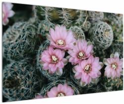 Mivali Tablou floare de cactus, dintr-o bucată 120x80 cm (V021594V12080)