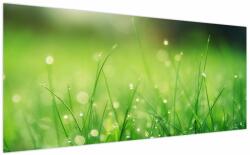 Mivali Tablou - roua pe iarbă, dintr-o bucată 200x100 cm (V020169V200100)