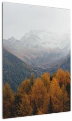 Mivali Tablou - Crestele munților, dintr-o bucată 50x70 cm (V022715V5070)