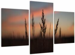 Mivali Tablou - Silueta plantei, din trei bucăți 90x60 cm (V022647V90603PCS)