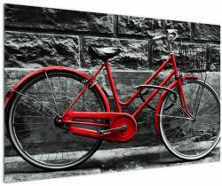 Mivali Tablou - Bicicleta istorică, dintr-o bucată 120x80 cm (V021989V12080)