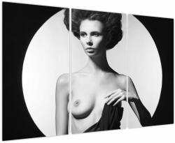 Mivali Tablou - Nud feminin, din trei bucăți 120x80 cm (V023897V120803PCS)